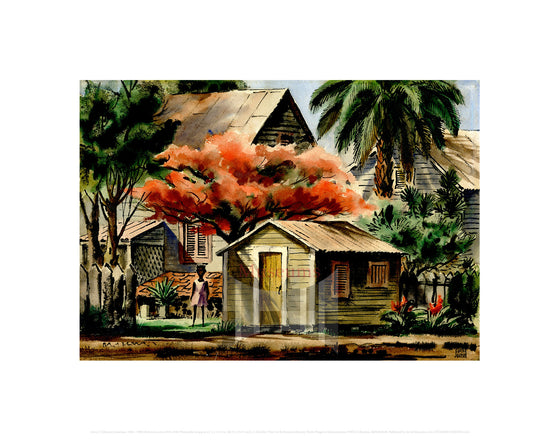 Poinciana