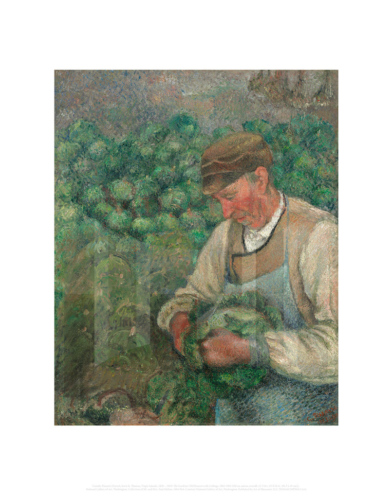 The Gardener-Old Peasant with Cabbage