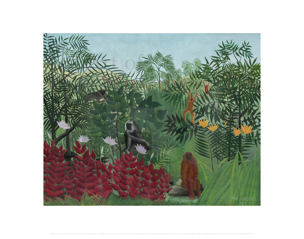 Tropical Forest with Monkeys