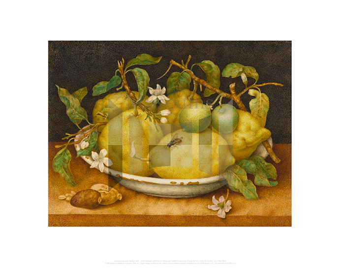 Still Life with Bowl of Citrons, Giovanna Garzoni